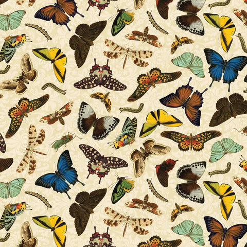 Butterfly Bouquet - Cream Butterfly- DV6035