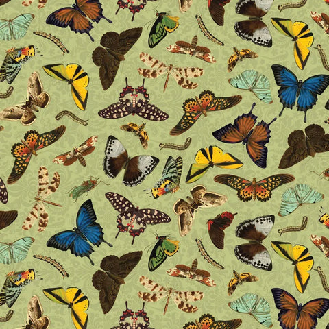 Butterfly Bouquet - Green Butterfly- DV6036
