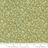 Chelsea Garden by Moda - M33747 13 Drizzle Lichen