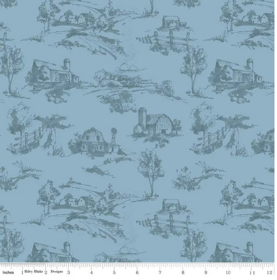 Countryside by Lisa Audit for Riley Blake Designs - Blue - C14532