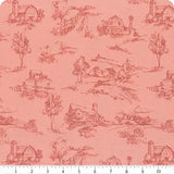 Countryside by Lisa Audit for Riley Blake Designs - Toile - Coral - C14532