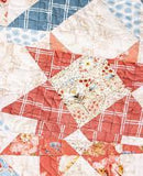 Rollie Pollie or 2.5” x 42 strips - featuring Countryside fabrics by Lisa Audit for Riley Blake Designs