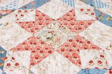 Rollie Pollie or 2.5” x 42 strips - featuring Countryside fabrics by Lisa Audit for Riley Blake Designs