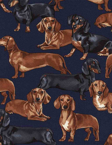 Pure Breeds - Dachshunds - GM-C3190 Navy