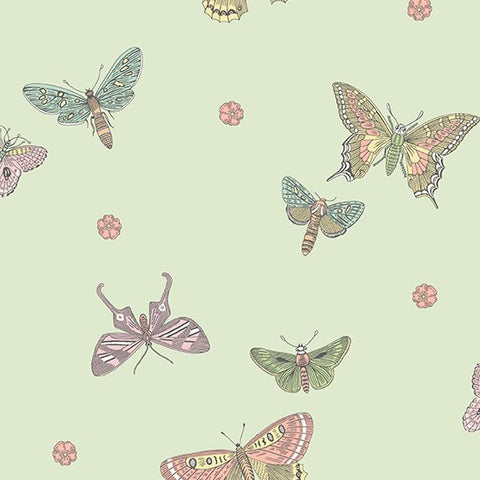 Botanica 2020 Butterflies 9260EG