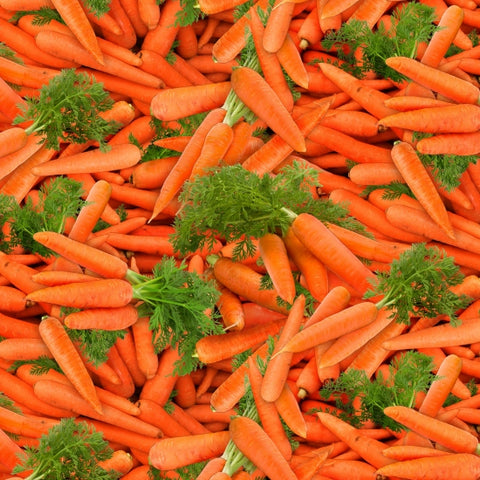 Food Festival - Carrots - 632 Orange