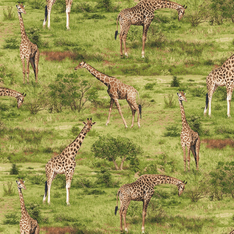 Born Free Giraffe 112-31921