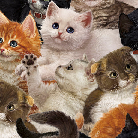 Literary Kitties Packed Kitties 28236-X Multi