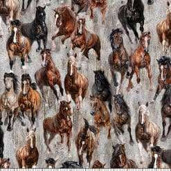 Stallion C2565 92 Lloyd Curzon