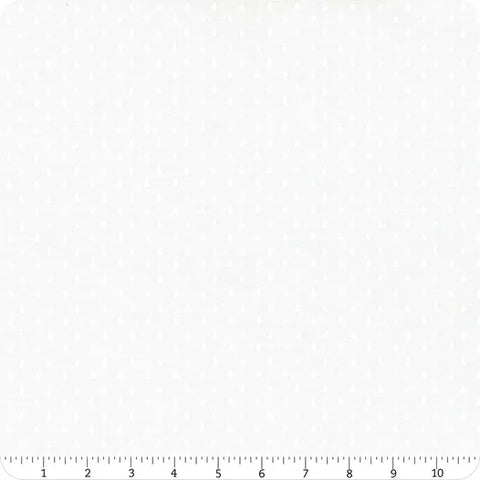 Tula Pink Solid CSFSESS.Dewdrop (Copy)