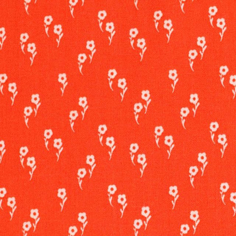 Wanderlust by Danelys Sidron for Riley Blake Designs C15476 Persimmon