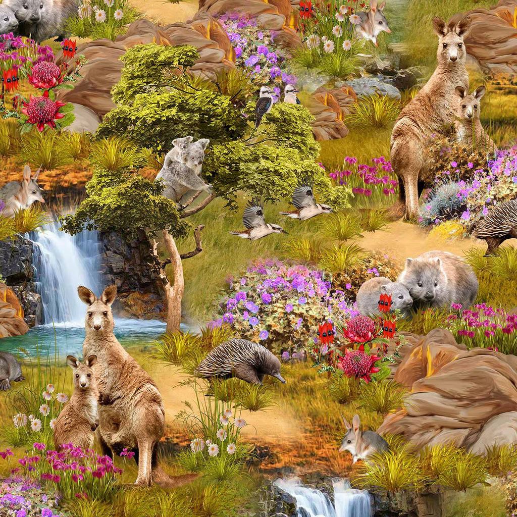 Outback Magic Australian Animals