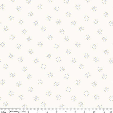 Hush 4 by Riley Blake Designs - Wink Wink - C15441