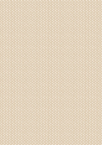 Teddy Bear’s Picnic - Cream basket weave - A793#3
