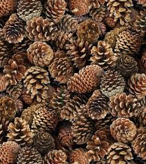 Pinecones 454 Brown