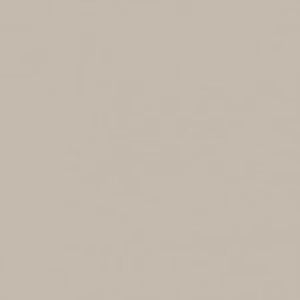 AMB Plains Taupe AMB 62 by Lloyd Curzon