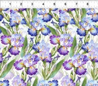 Decoupage - Iris - Purple - C256012DC1