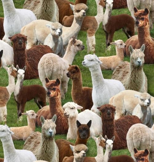 Farm Animals - Llamas - Green - 445