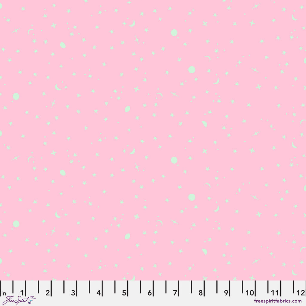 Tula Pink Space Sprinkles Piglet PWTP254.PIGLET