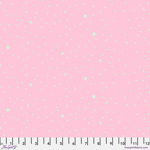Tula Pink Space Sprinkles Piglet PWTP254.PIGLET