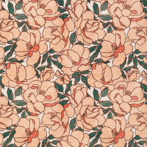 Rosy Deco - Floribunda - C9227423