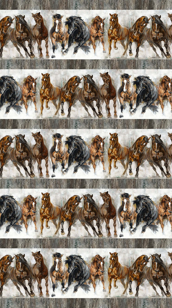 Stallion C2565 92 Border Lloyd Curzon