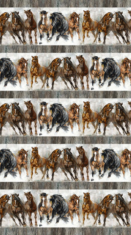 Stallion C2565 92 Border Lloyd Curzon