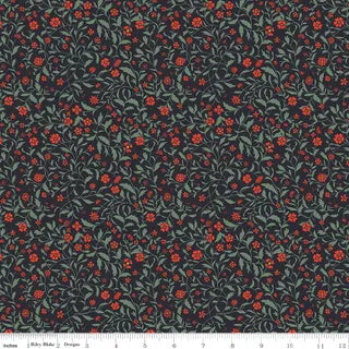 Wanderlust by Danelys Sidron for Riley Blake MM45573 Charcoal