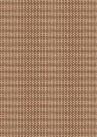 Teddy Bear’s Picnic - Brown basket weave - A793#3