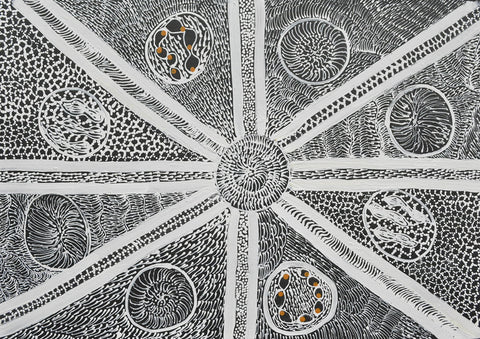 Sweet Potato Black by Audrey Napanangka for M and S Textiles SWPB