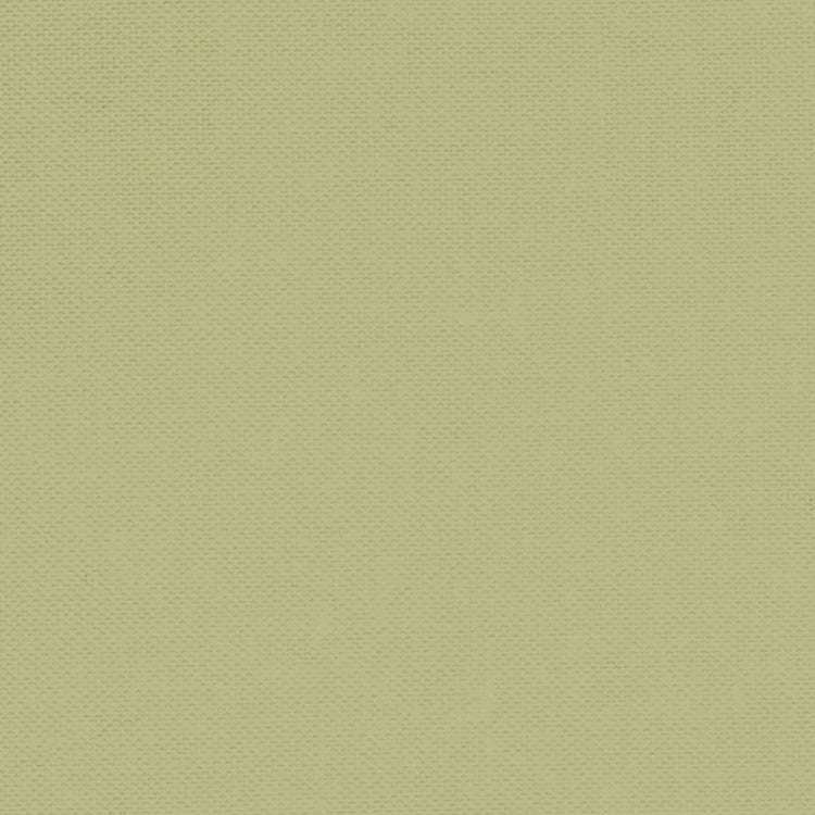 Devonstone Collection Solid DV041 Pistashio