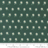 Imaginary Flowers M48384 16 by Gingiber for Moda fabrics