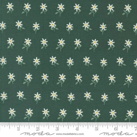 Imaginary Flowers M48384 16 by Gingiber for Moda fabrics