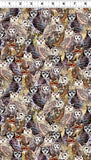 Wild Wonder Watercolour Packed Owls Multi Colour Fabric by Sue Zipkin for Clothworks Y4074 55