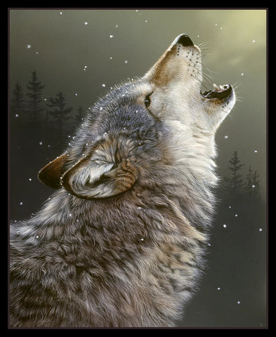 Elizabeth's Studio Canis Lupus 9709 Black 36" Wolf Panel $36/per panel