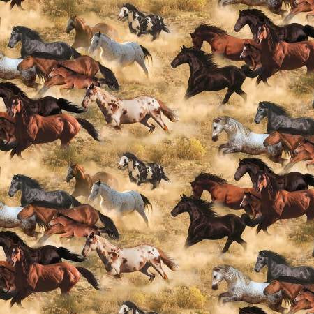 Thunder and Dust by Elizabeth’s  Studio 741 Multi