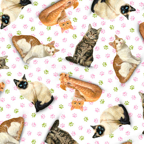 Fancy Felines - Tossed Cats - 27038-Z