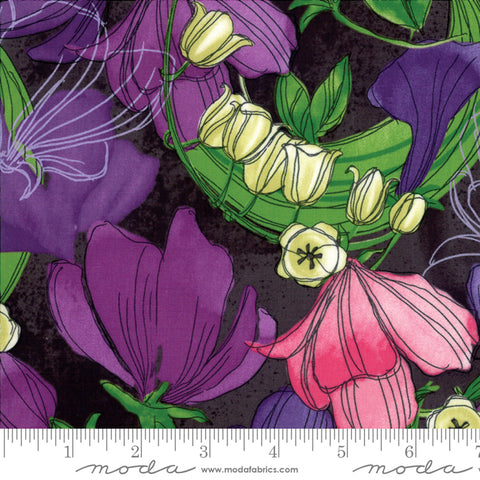 Sweet Pea Lily Sweet Peas 4864- 24 black