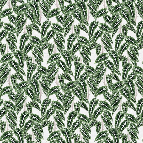 Modern Botanicals 120-21481 Alocasia