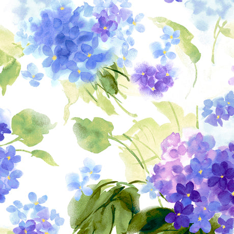 Hydrangea Blossoms Watercolor Hydrangeas White 27529-Z