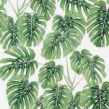 Modern Botanicals 120-2148 Monstera