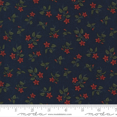 Prairie Dreams Navy 9652 14