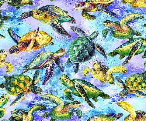 The Reef Sea Turtles 59-3852