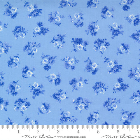 Summer Breeze 33613 16 Sky