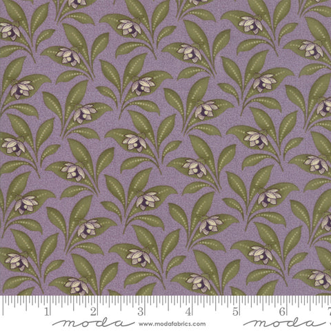 Sweet Violet - Lilac 2223 14